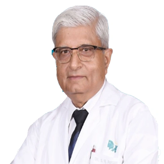Dr Sabir Husain Ansari - ENT Specialist in Delhi