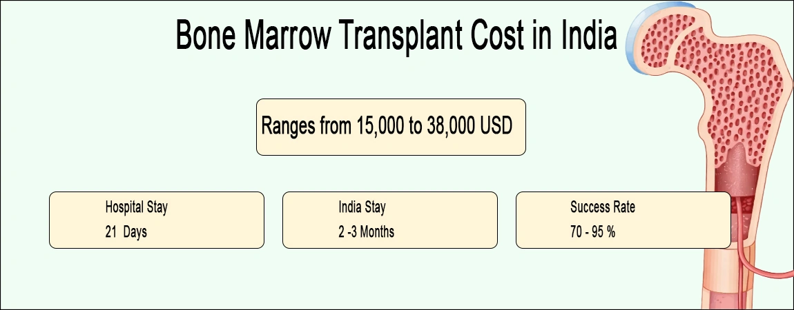 Bone Marrow Transplant in India - Cost, Hospitals & Success Rates