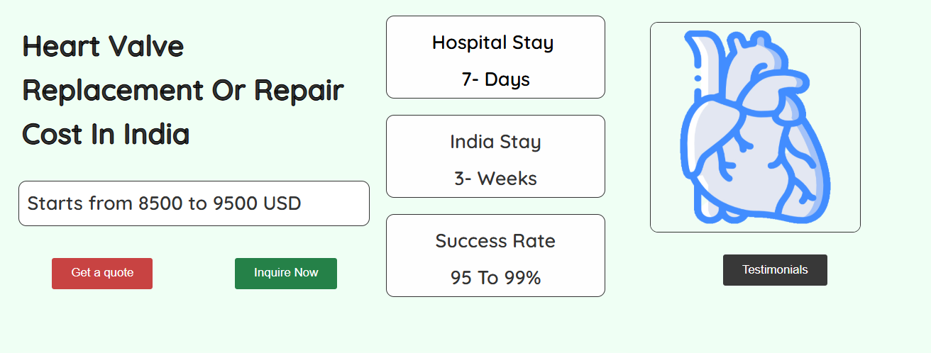 Heart Valve Replacement or Repair Cost in India
