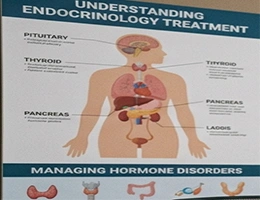 Endocrinology treatment in India | Best hormonal disorder care