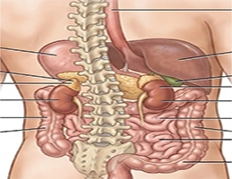 Gastro intestinal Cancer Surgery in India